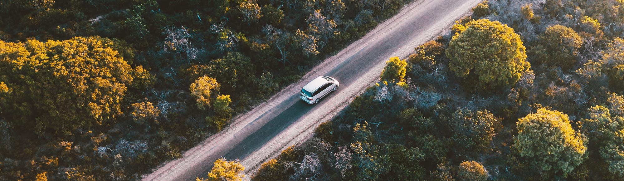 A plain Wicked campervan on a forest road in Australia